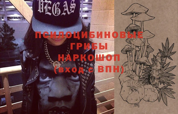 таблы Лиски
