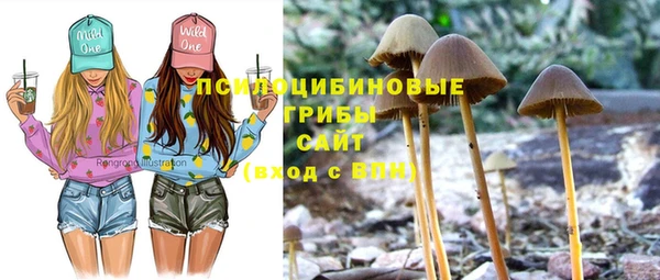 прущие крисы Магас