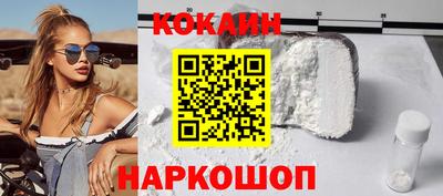 крисы Камышлов