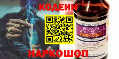 крисы Камышлов