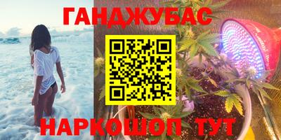крисы Камышлов