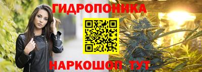 крисы Камышлов