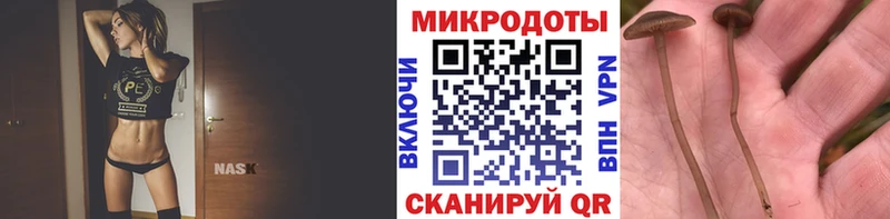МЕГА tor  где можно купить наркотик  Усть-Джегута  Галлюциногенные грибы ЛСД 