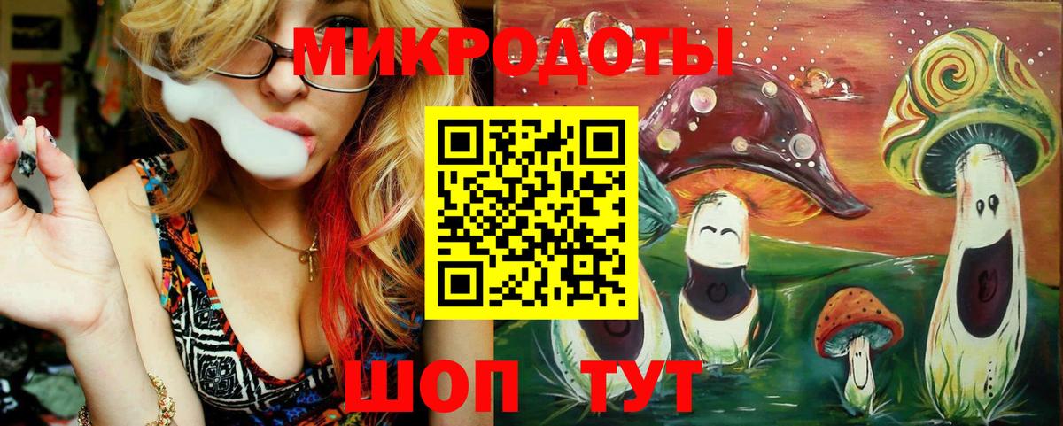 Псилоцибиновые грибы Psilocybine cubensis Усть-Джегута